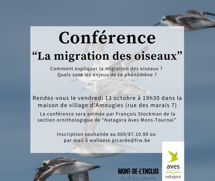 La Migration Des Oiseaux | Natagora